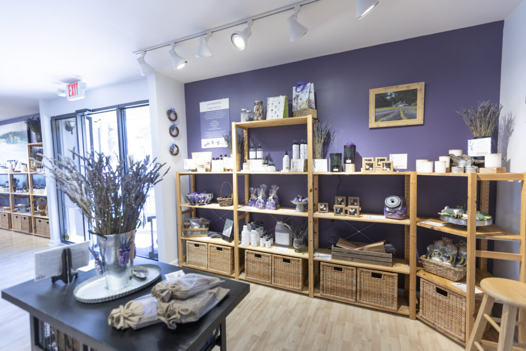 The Lavender Store