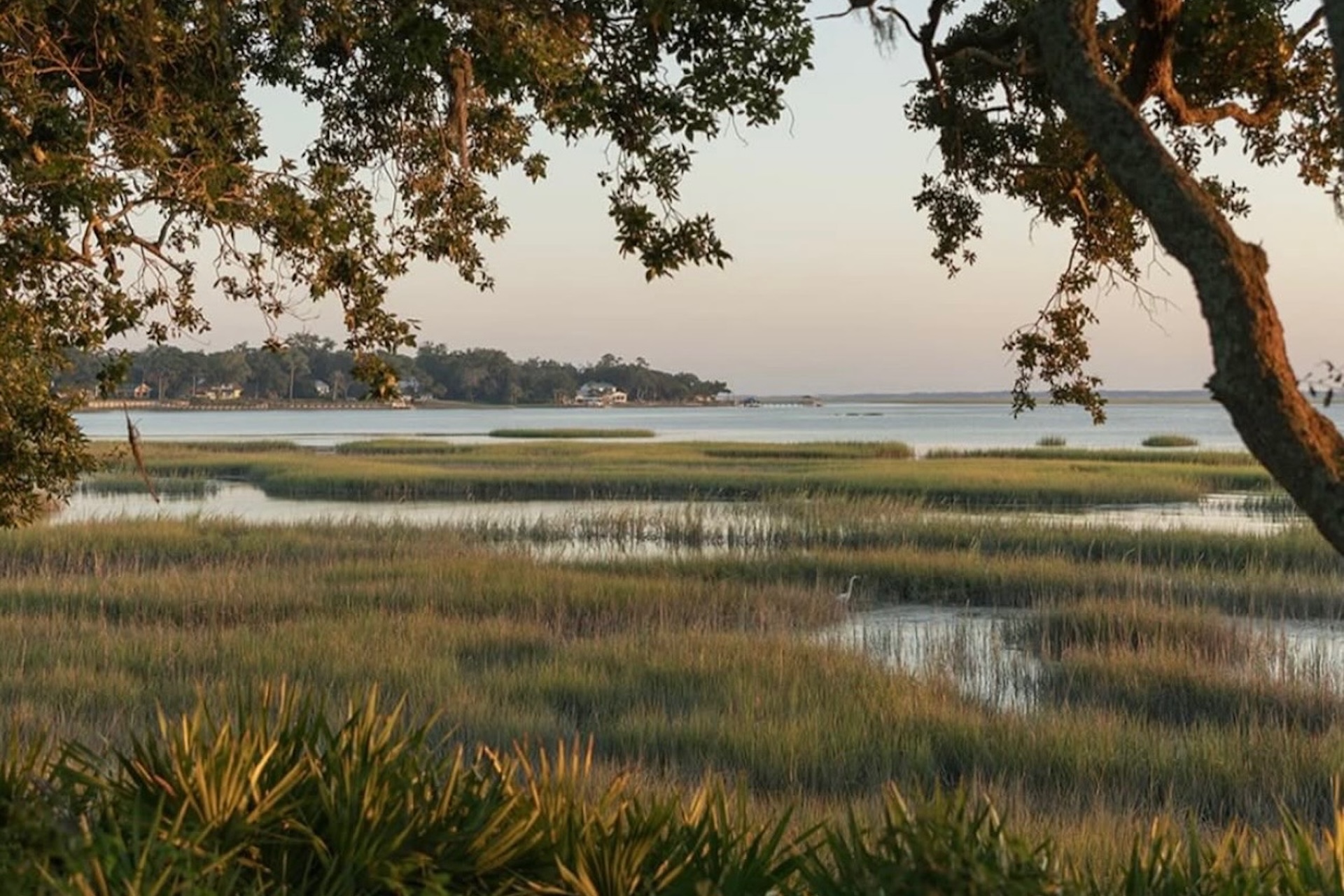 A serene coastal marsh scene with tall grasses, calm water, and distant trees under a pale sky, framed by leafy branches in the foreground.