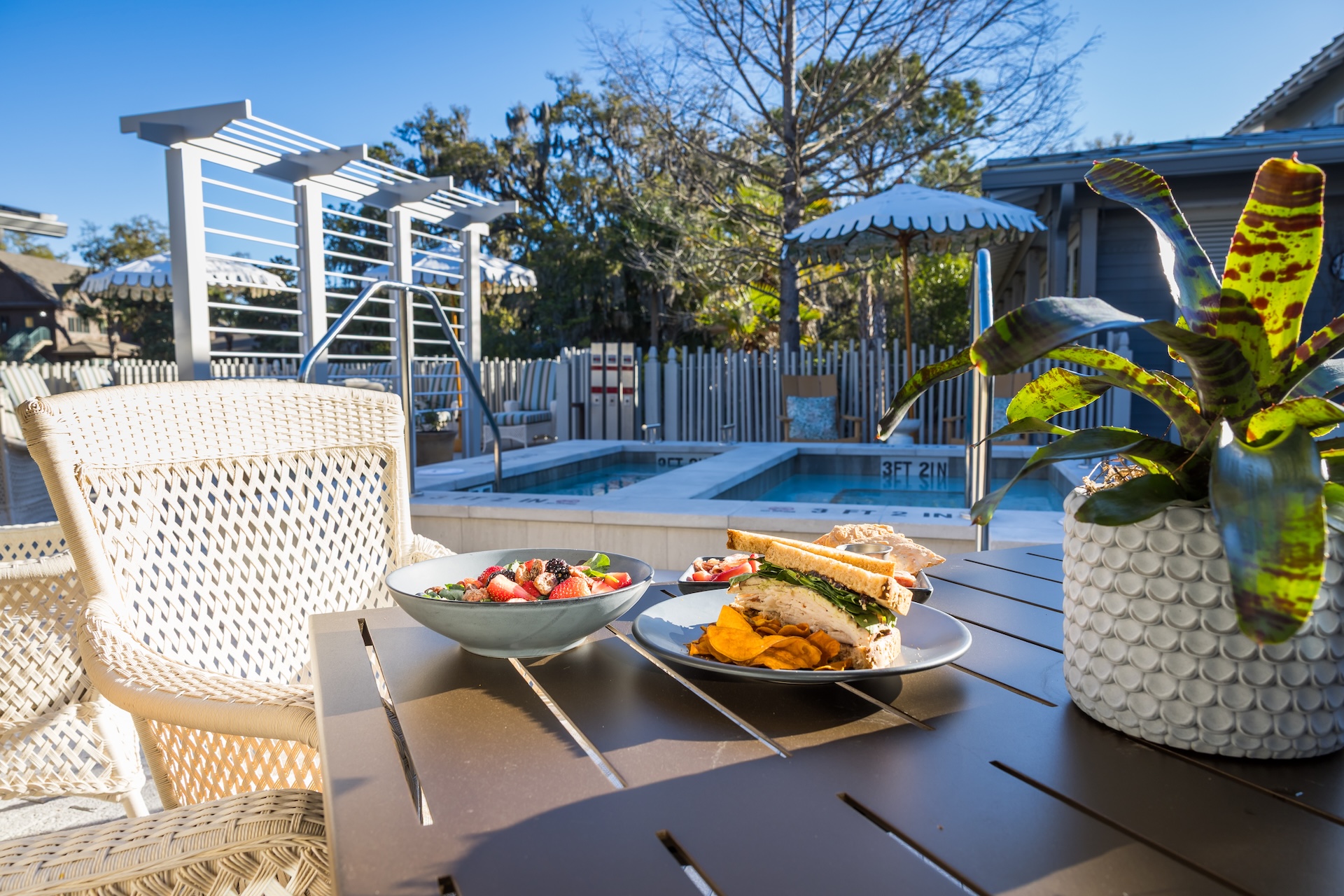 A plate with a sandwich, a bowl of fruit, and a bowl of salad sit on a patio table next to a potted plant, with a pool and lounge chairs in the background on a sunny day.