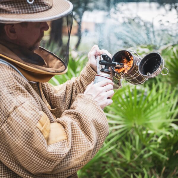 A beekeeper in protective clothing uses a torch to light a bee smoker outdoors, with green plants visible in the background.