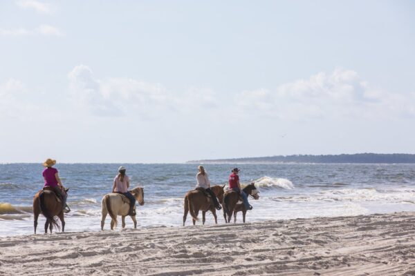 horses on beach