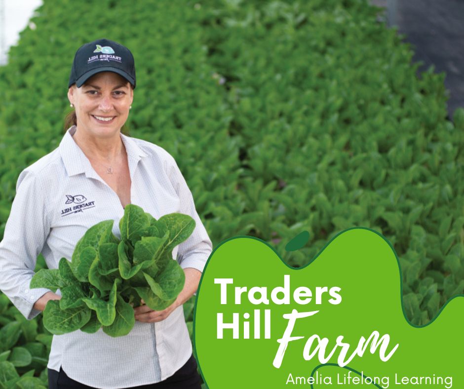 Traders Hill Farm