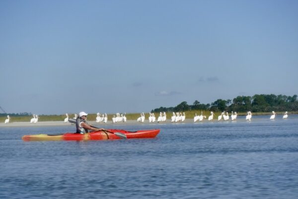 Kayak Amelia