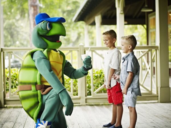 Treats with Tanner turtle