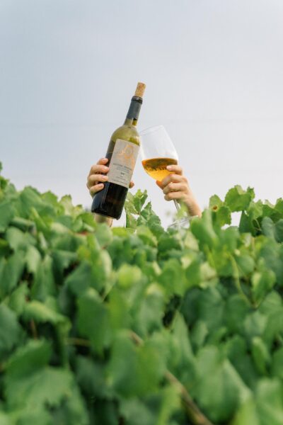 A person’s hands holding a bottle of white wine and a glass of wine, raised above dense green vineyard leaves, with a clear sky in the background.