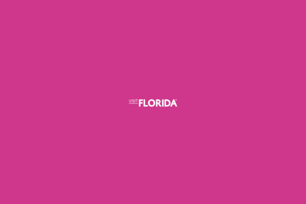 Visit Florida logo