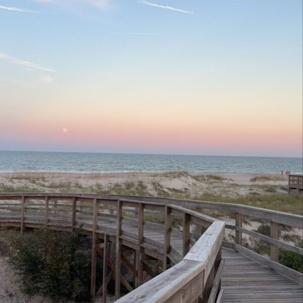 Amelia island webcam