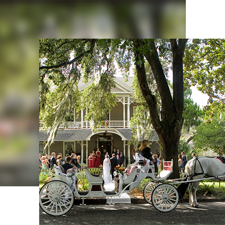 Venues Williams House carriage