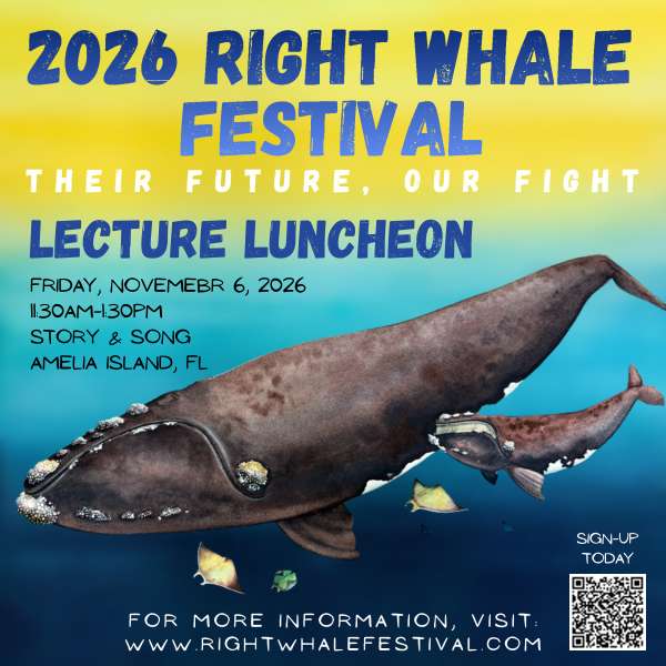 2026 Right Whale Festival Lecture Luncheon poster featuring a whale and calf, taking place Friday, November 6, 2026, at 11:30 AM in Amelia Island, FL, with a QR code and website for sign-ups.