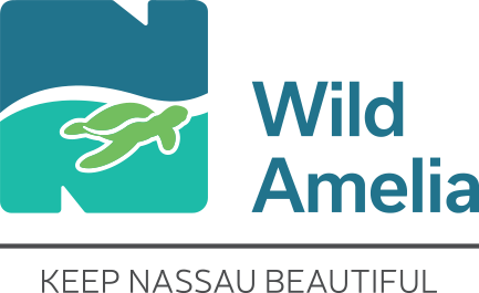 Logo with a stylized green sea turtle swimming on a turquoise background, next to the text “Wild Amelia.” Below, it says “Keep Nassau Beautiful.” The design features clean lines and a nature-inspired theme.
