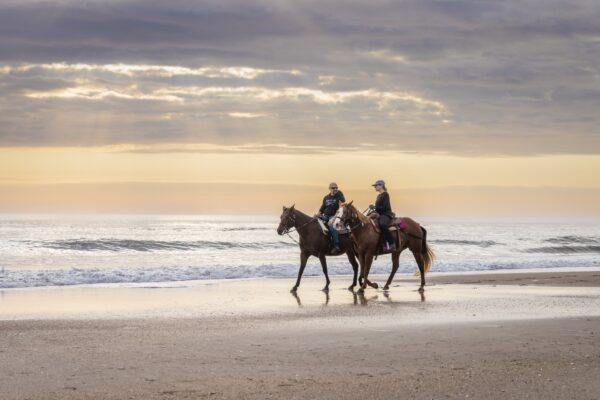 Horseback Riding