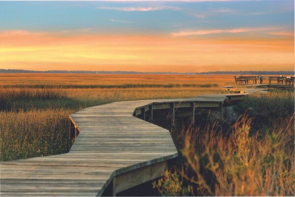 wooden boardwalk