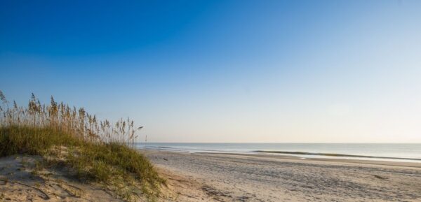 beach dune