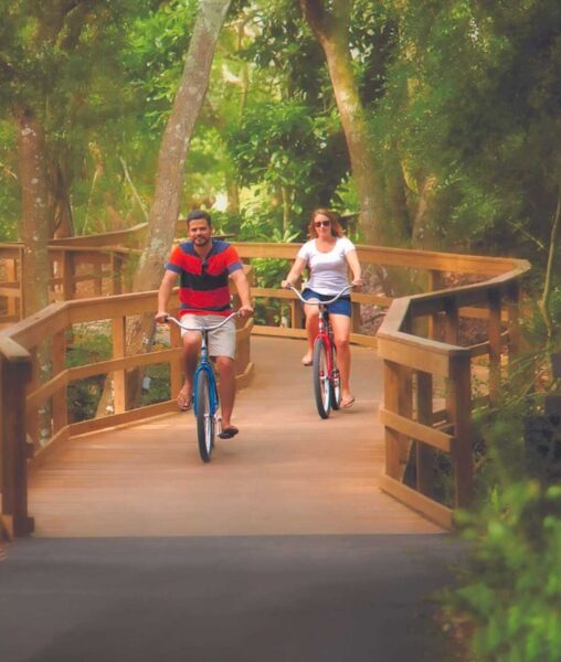 A man and a woman ride bicycles on a wooden path surrounded by lush green trees, smiling and enjoying a leisurely day outdoors.