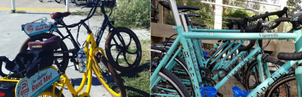 bike rentals