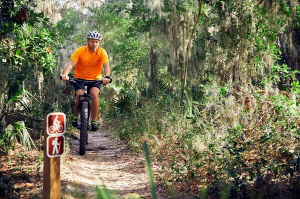 biking in forest