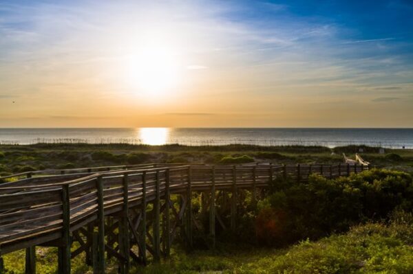 wooden boardwalk