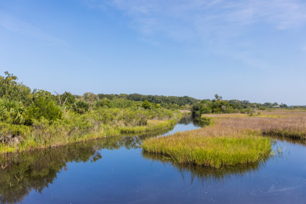 Egans Creek greenway