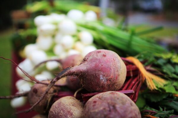 Amelia Island farmers market vegetables