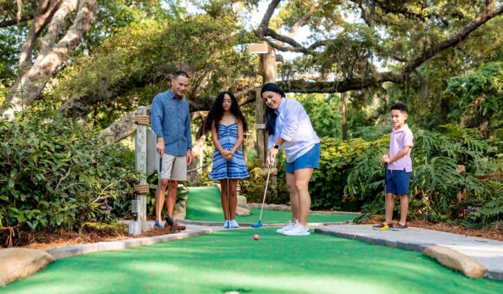 Heron's Cove Adventure Golf at Omni Amelia Island