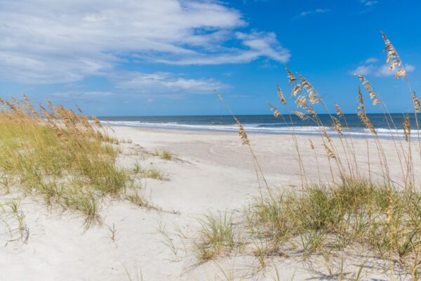 Tall beach grass grows in white sand dunes overlooking a calm, blue ocean under a partly cloudy sky, creating a serene coastal scene.