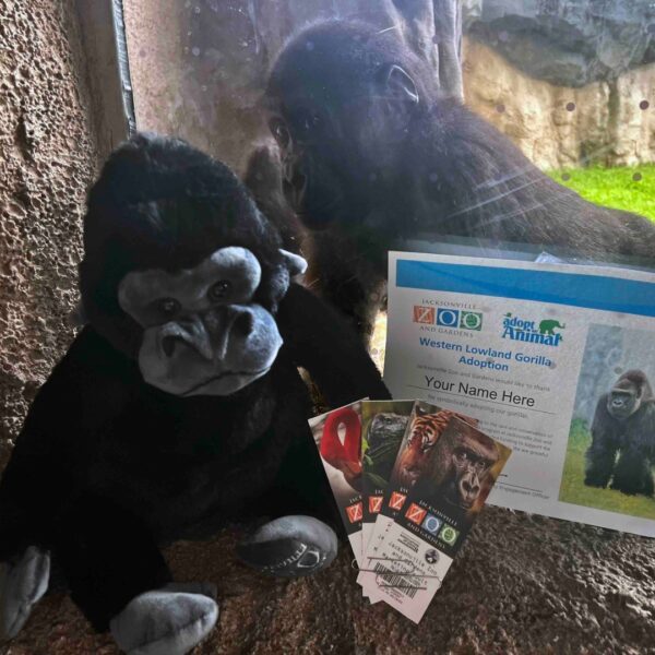 Jacksonville Zoo adoption