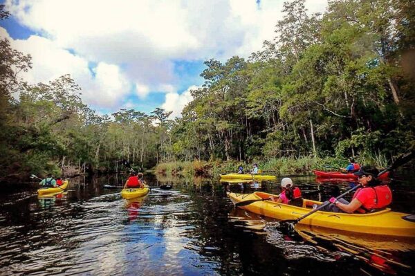 kayak group in forest