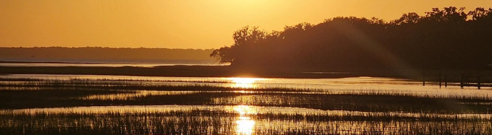 Golden sunset over a marshy landscape, with the sun low in the sky reflecting on calm water, tall grasses emerging from the water, and dark silhouettes of trees in the background.