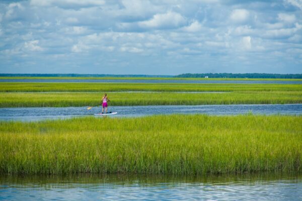 paddleboarding in marsh