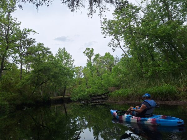 A person wearing a blue cap and life vest paddles a colorful kayak on a calm river surrounded by lush green trees and vegetation under a cloudy sky.