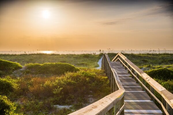 wooden boardwalk