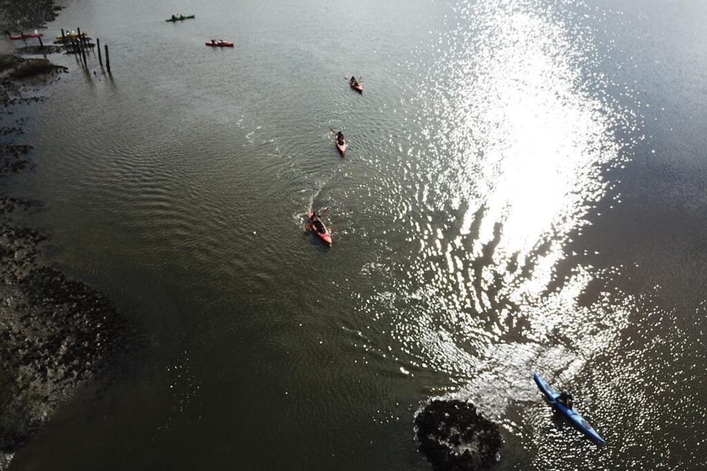 A group of kayakers paddle on a sunlit river, creating ripples in the water. Sunlight reflects off the surface, and a small dock is visible in the upper left corner. Rocks are visible along the riverbank.