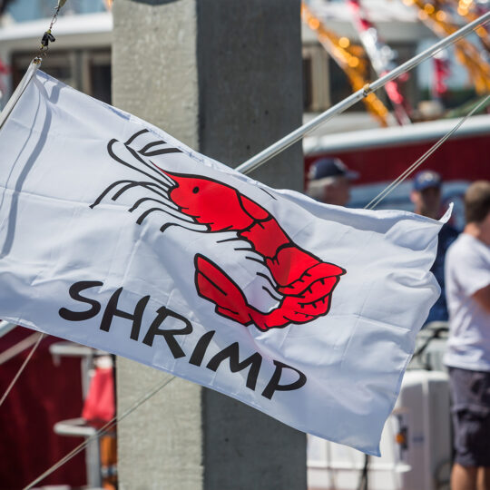 Shrimp Challenge