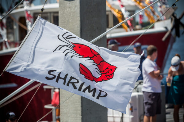 Shrimp Challenge