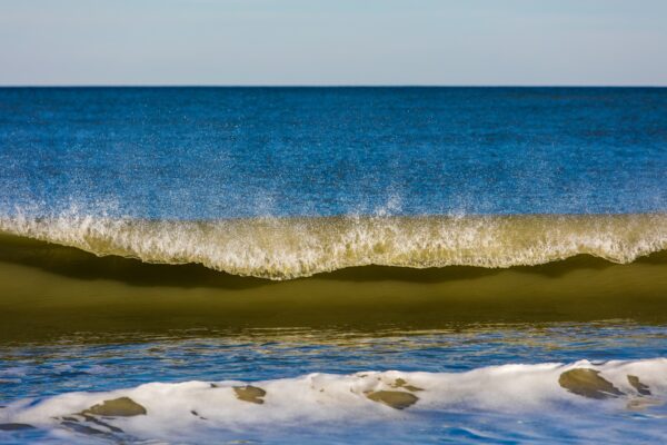 A clear blue ocean with a gentle wave cresting and white foam forming at the edge, under a bright sky. The scene is calm and serene, with no people or boats visible.
